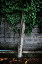 Signs_11