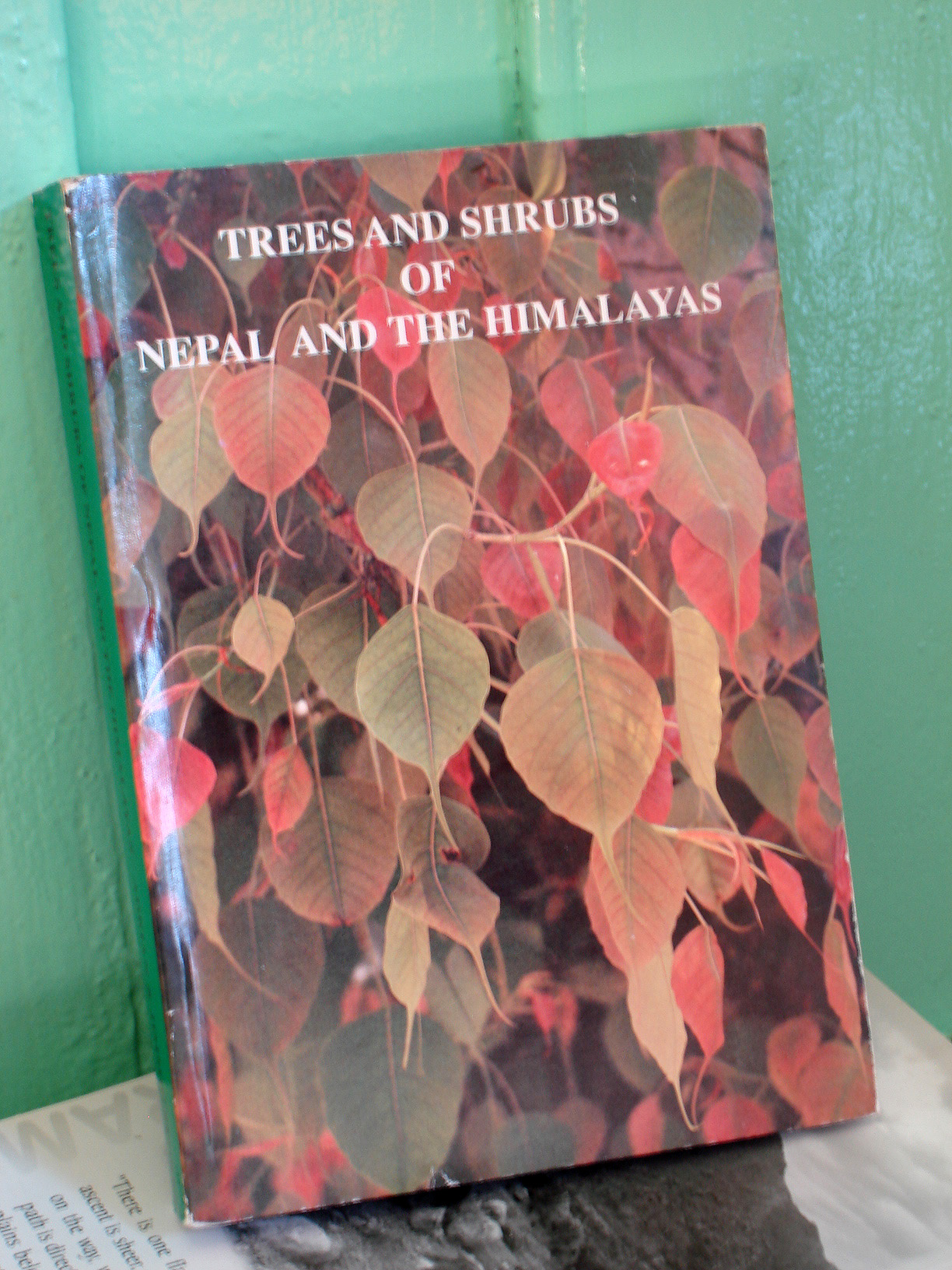 Trees & Shrubs of Nepal & the Himalayas