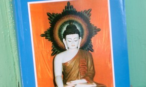 Holy Places of Buddhism in Nepal & India (***OUT of STOCK***)