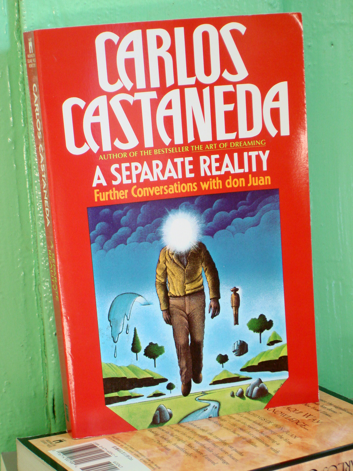 A separate reality (***OUT of STOCK***)