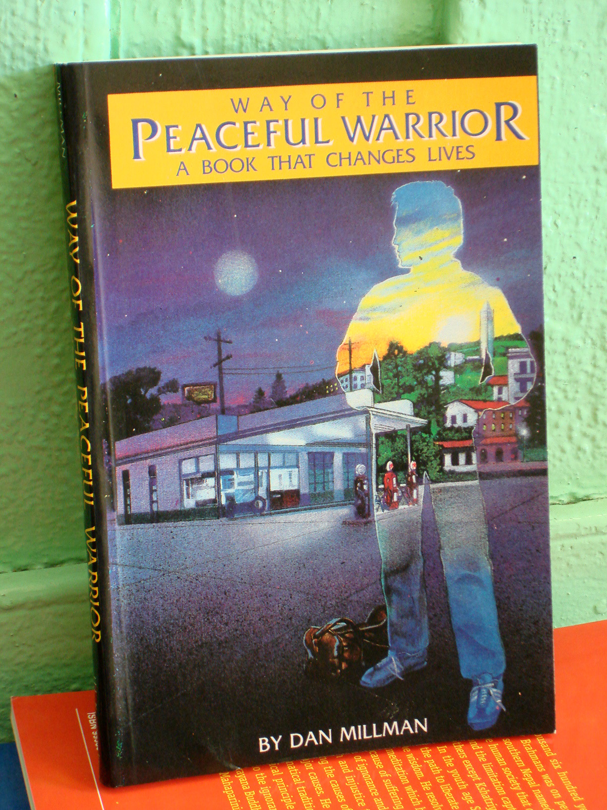 Way of the Peaceful Warrior (***OUT of STOCK***)