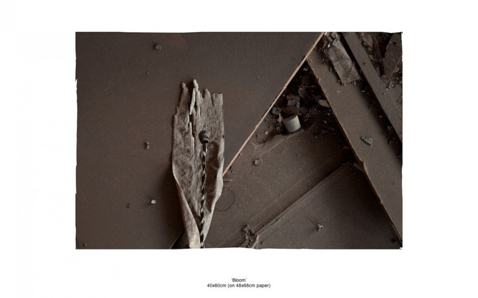 Abandon/Decay – Liam Morgan